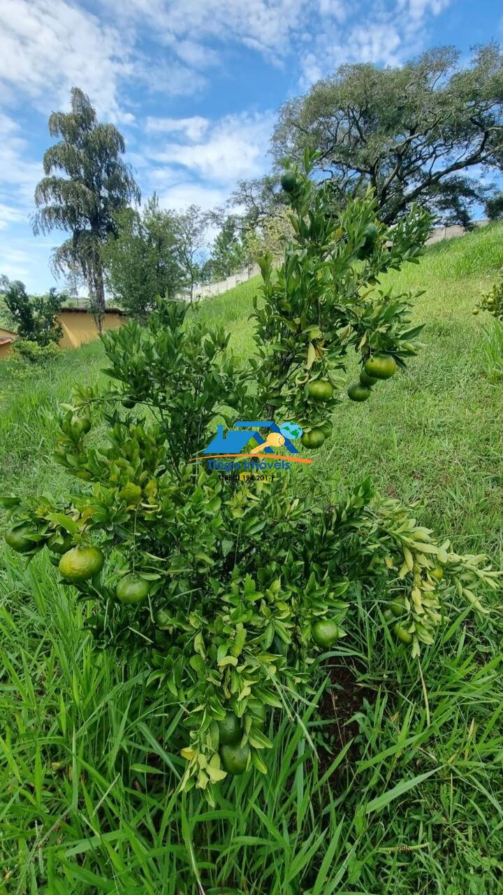 Sítio, 9 quartos, 2 hectares - Foto 39