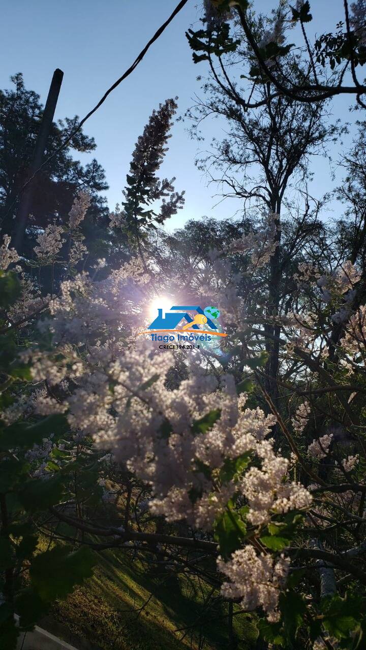 Sítio, 9 quartos, 2 hectares - Foto 40