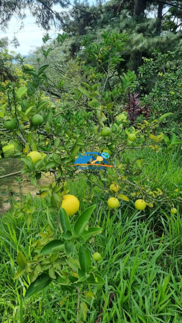 Sítio, 9 quartos, 2 hectares - Foto 50