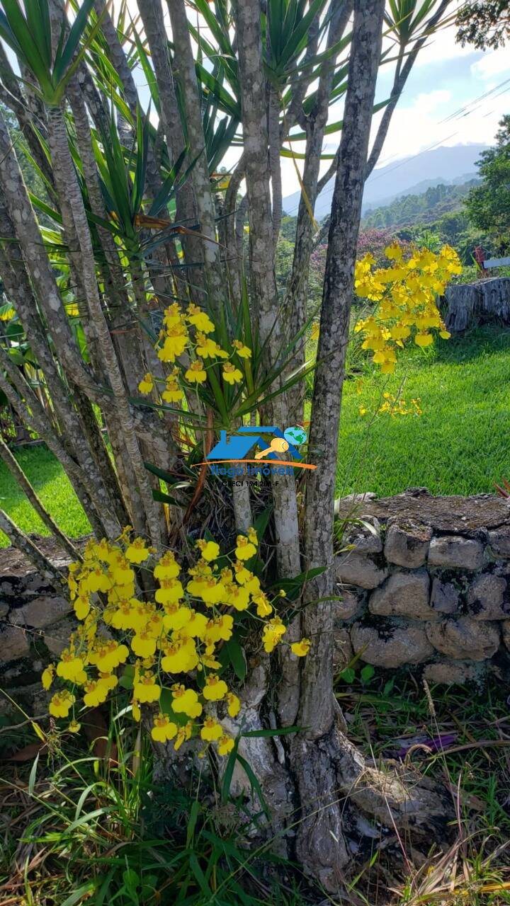 Sítio, 9 quartos, 2 hectares - Foto 52