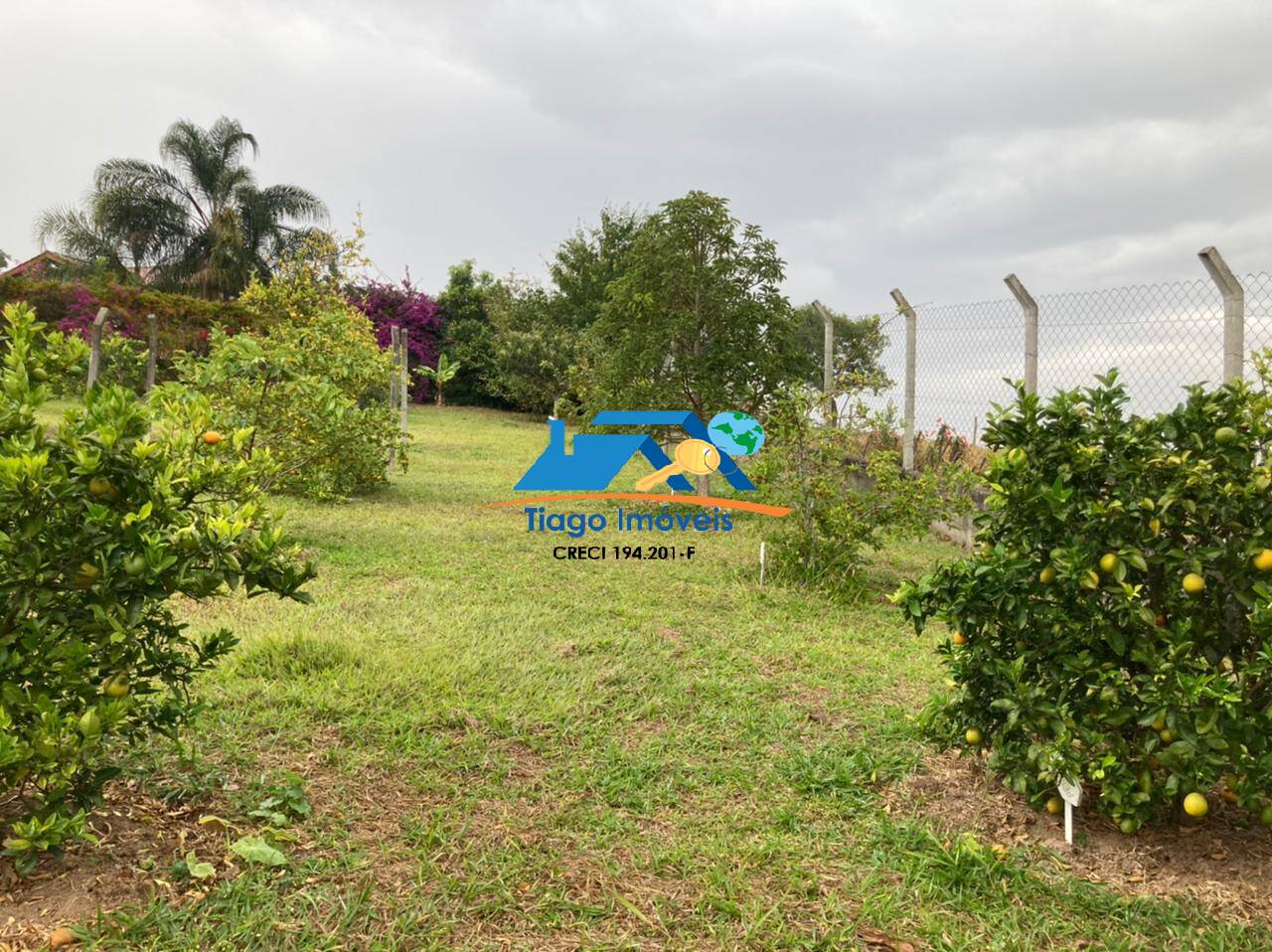 Chácara, 4 quartos, 3000 m² - Foto 5