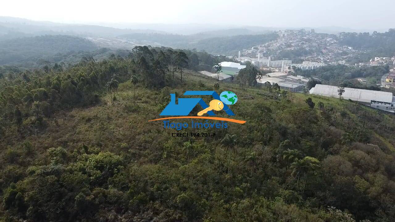 Terreno, 6 hectares - Foto 4