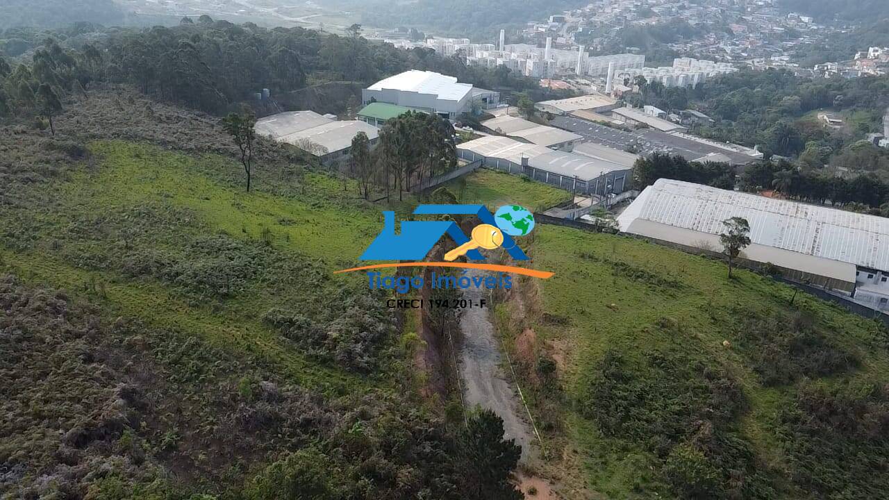 Terreno, 6 hectares - Foto 6