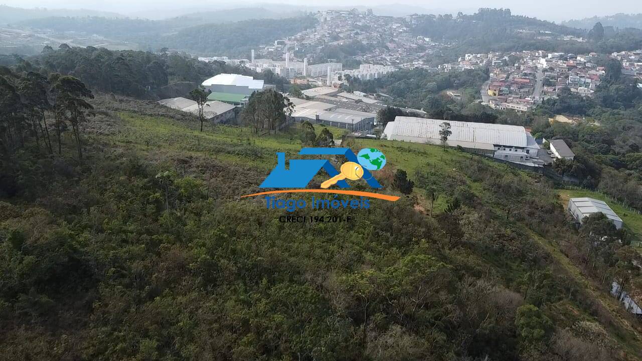 Terreno, 6 hectares - Foto 8