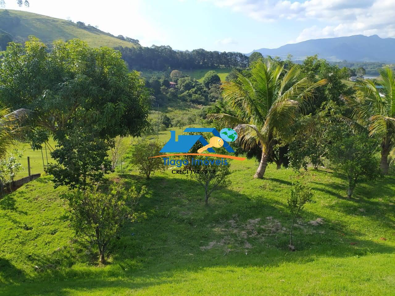 Sítio, 4 quartos, 5000 m² - Foto 15