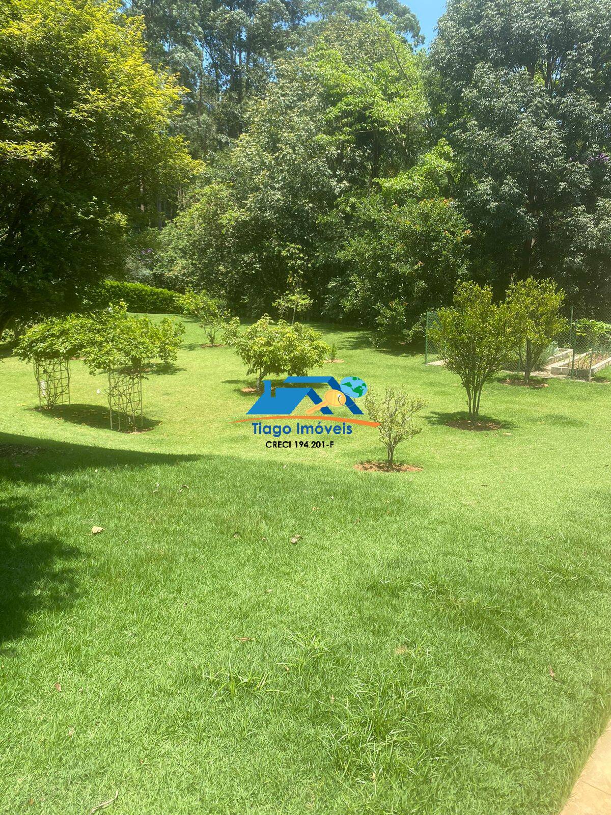 Terreno, 2526 m² - Foto 5