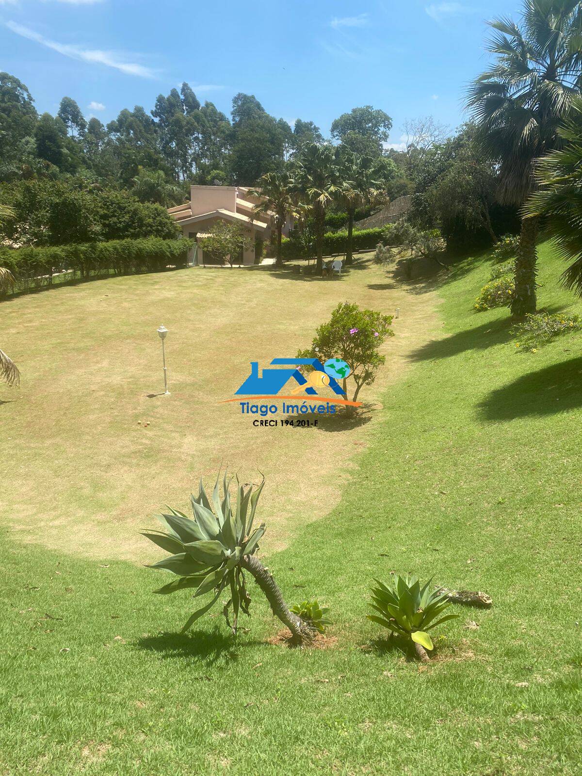 Terreno, 2526 m² - Foto 4