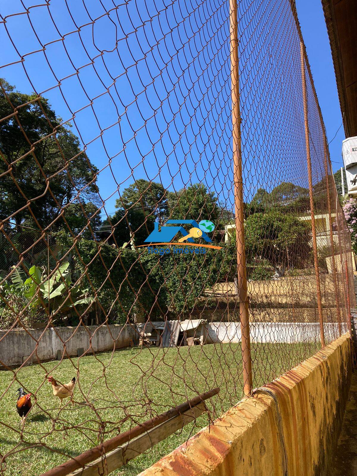 Sítio, 7 quartos, 2467 m² - Foto 32