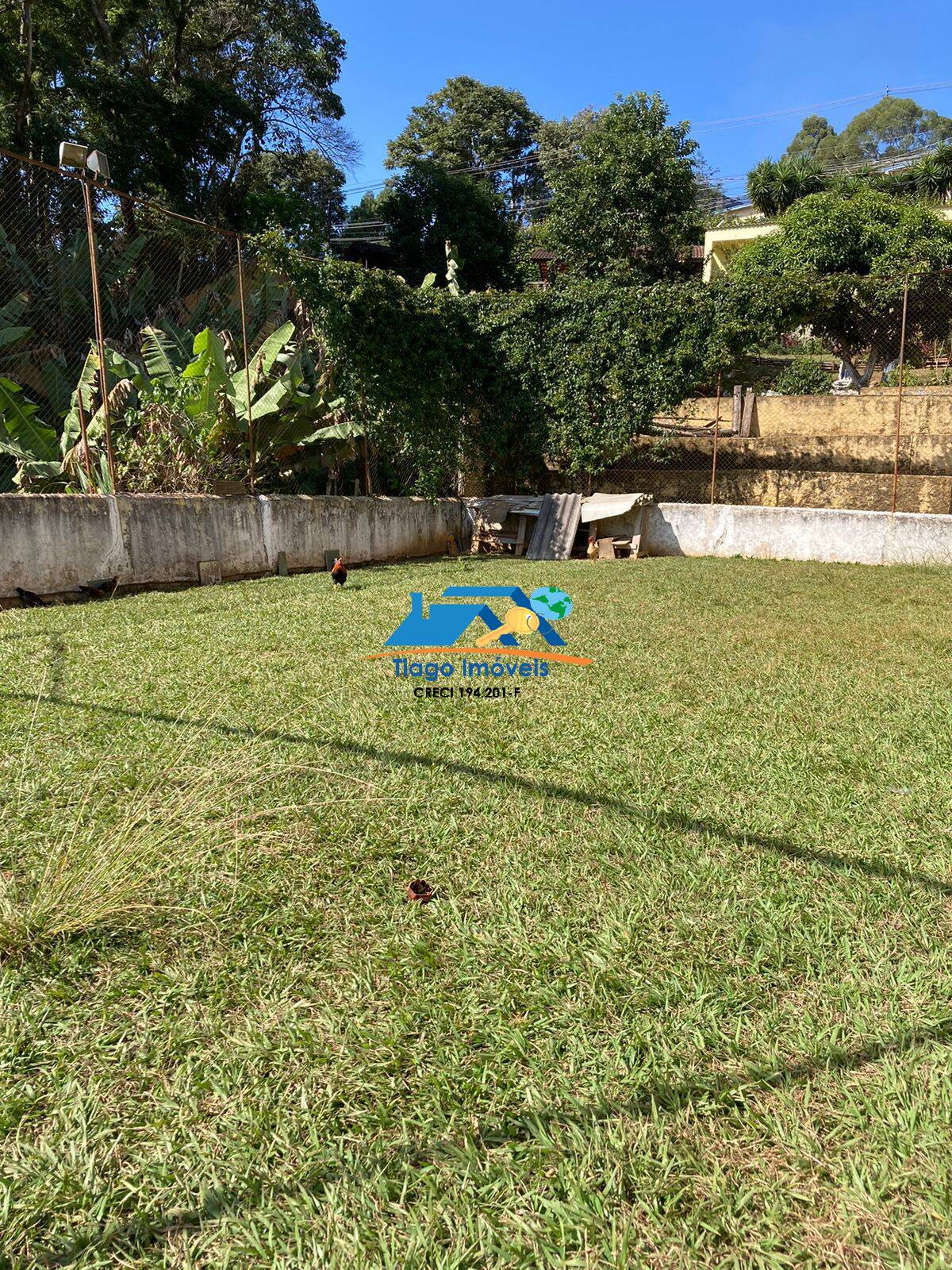 Chácara, 7 quartos, 2467 m² - Foto 4