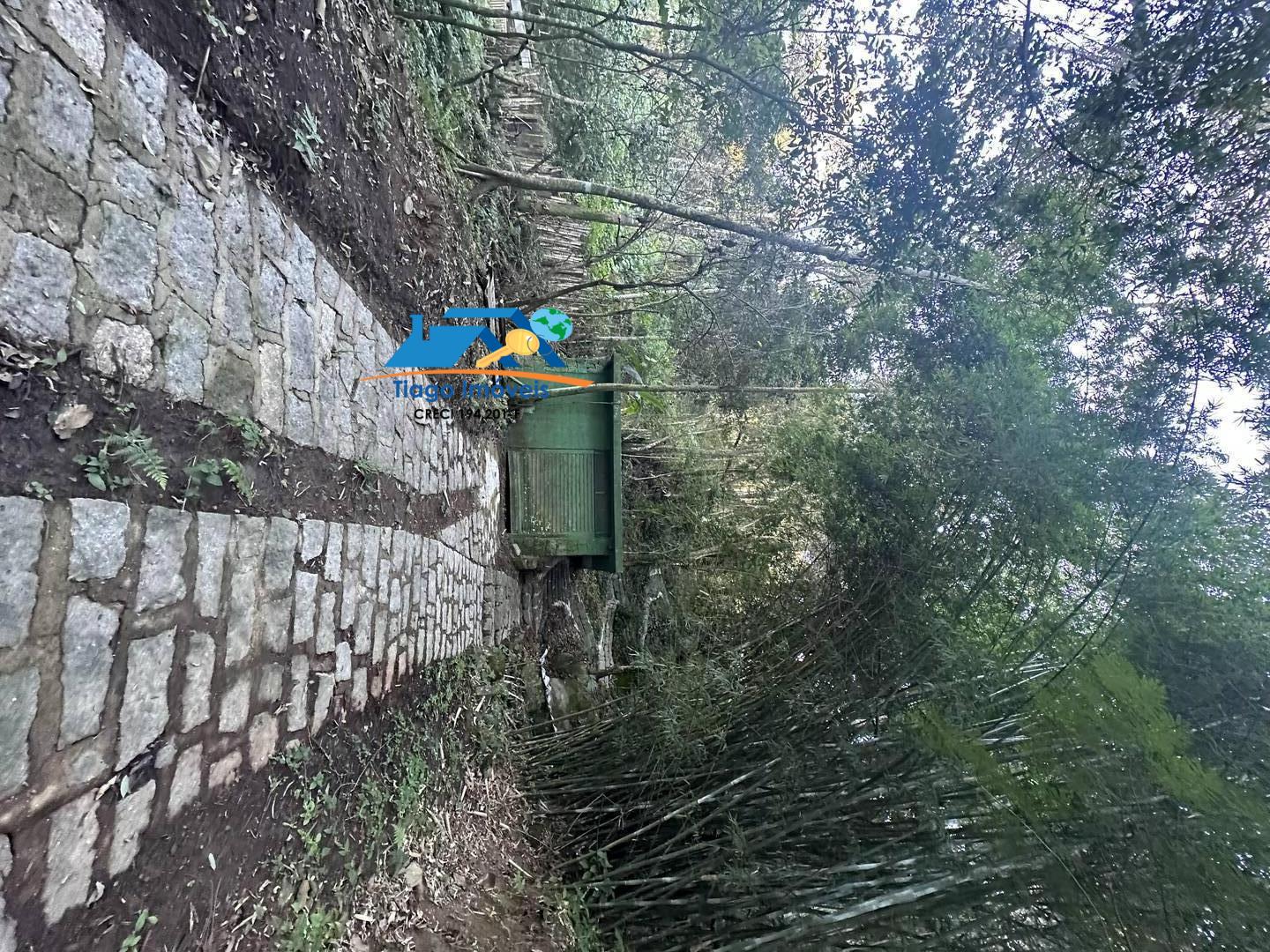 Chácara, 5 quartos, 4100 m² - Foto 28