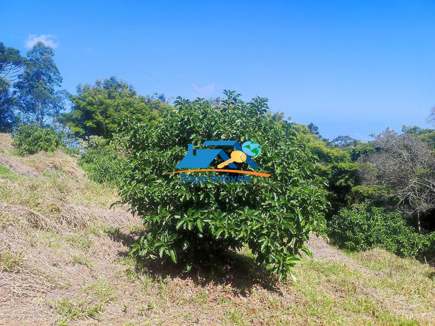 Casa, 5 quartos, 82600 m² - Foto 37