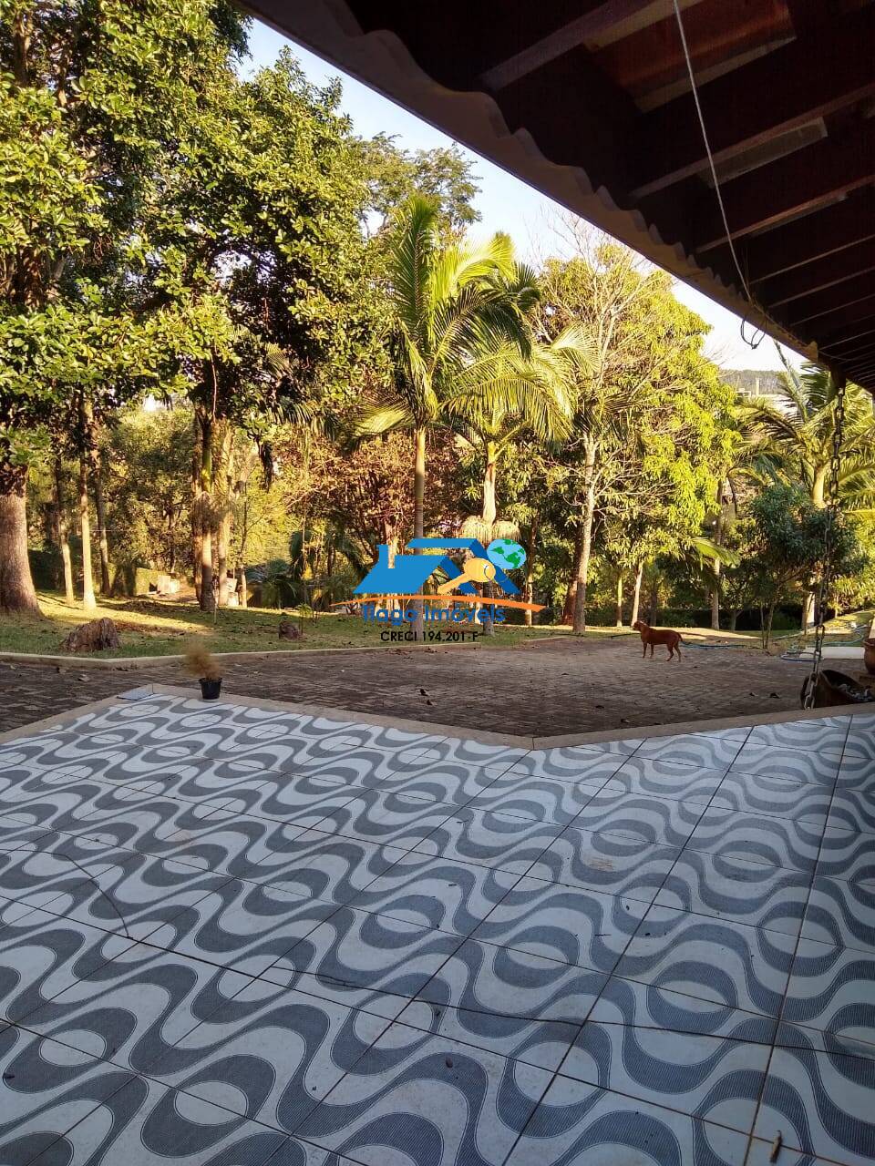 Sítio, 3 quartos, 2384 m² - Foto 6