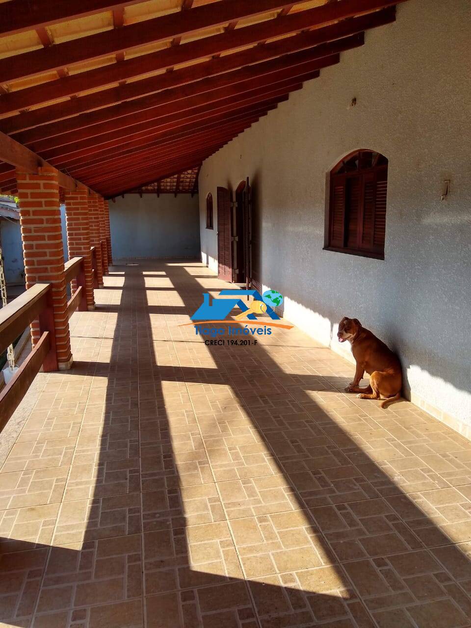 Sítio, 3 quartos, 2384 m² - Foto 7