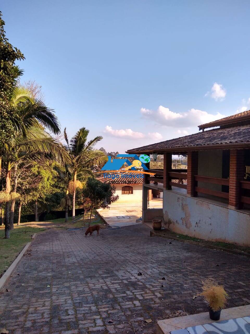 Sítio, 3 quartos, 2384 m² - Foto 27