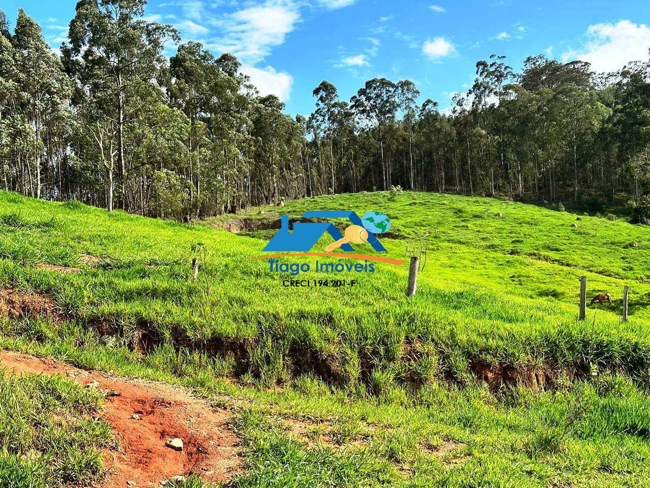 Sítio, 8 quartos, 5 hectares - Foto 66