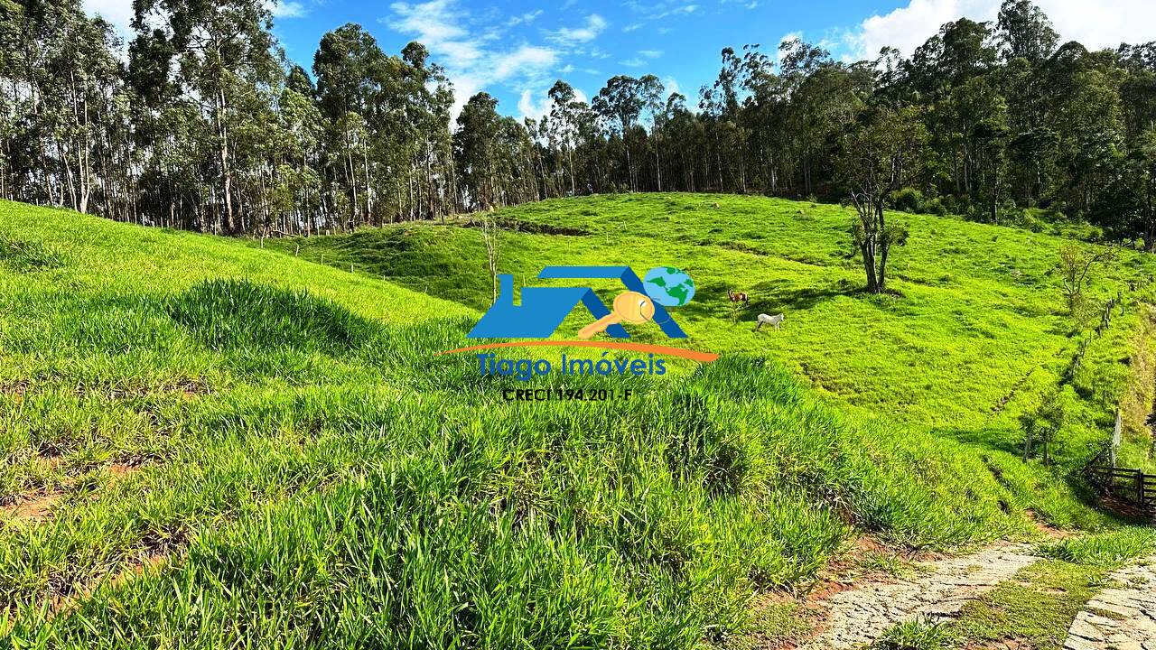 Sítio, 8 quartos, 5 hectares - Foto 107