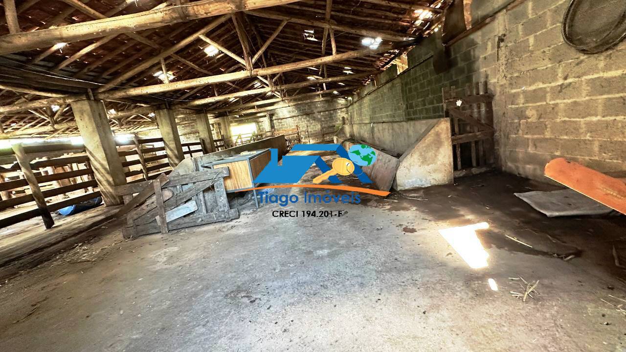 Sítio, 8 quartos, 5 hectares - Foto 109