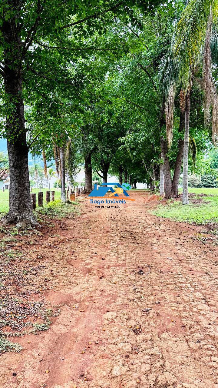 Sítio, 7 quartos, 2 hectares - Foto 126