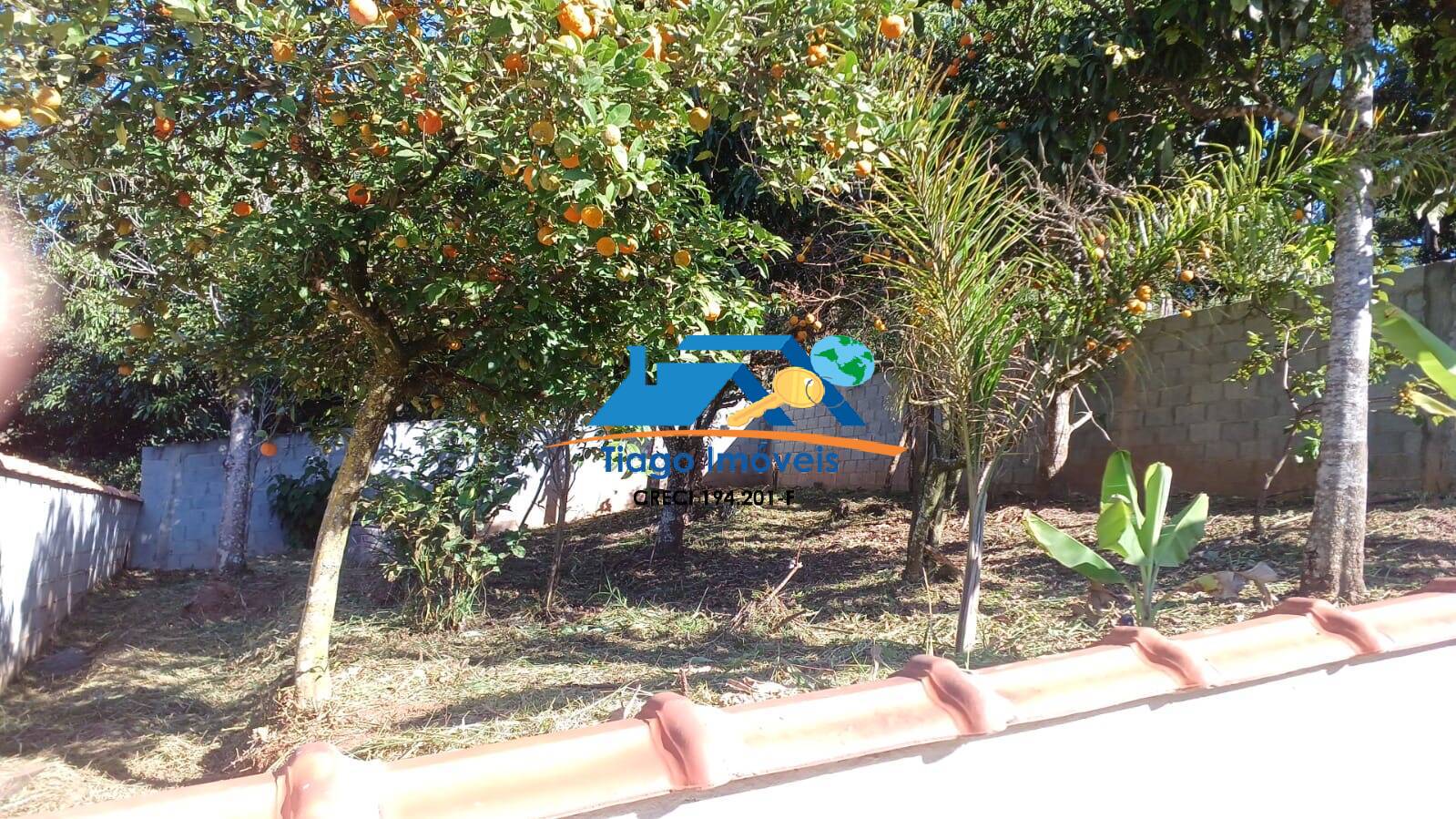 Sítio, 3 quartos, 527 m² - Foto 21