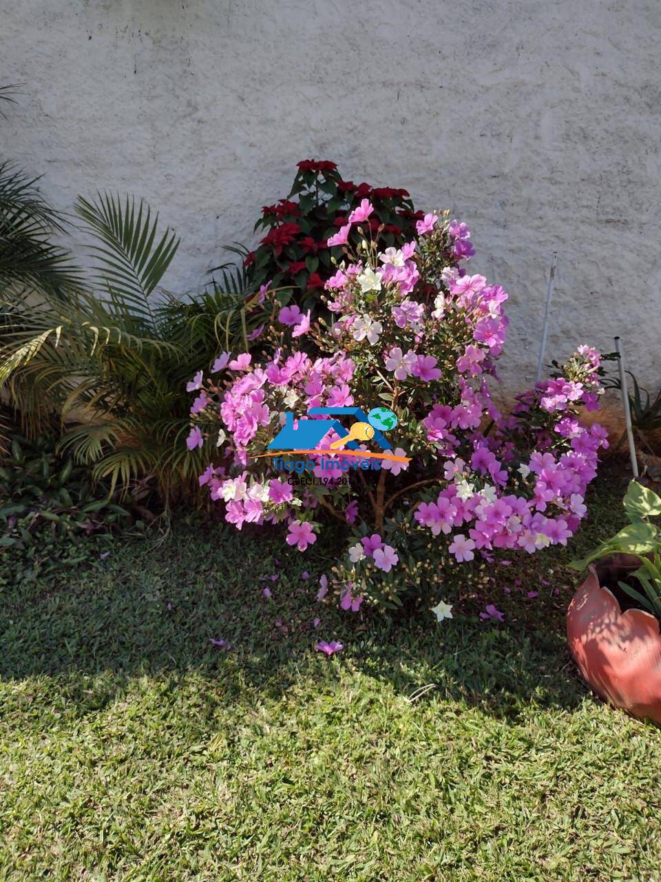 Sítio, 3 quartos, 3000 m² - Foto 22