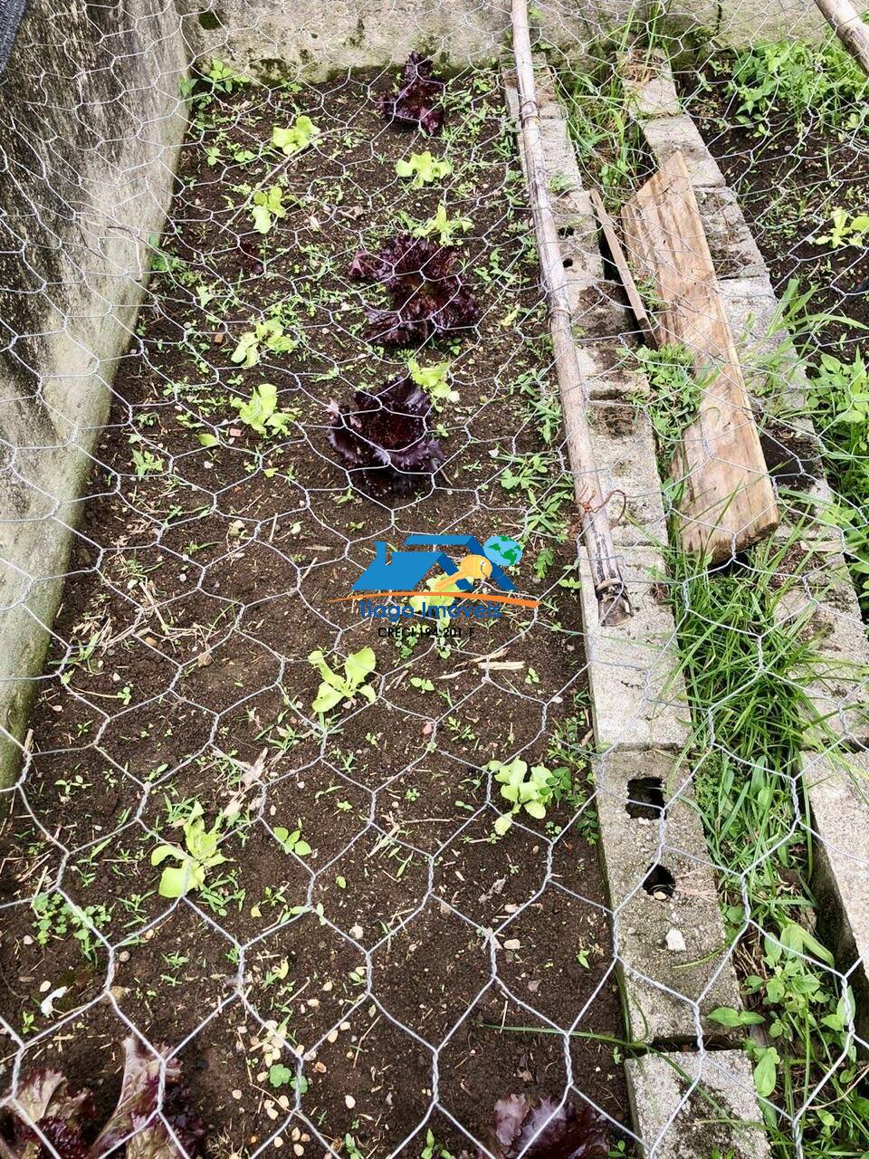 Sítio, 3 quartos, 3000 m² - Foto 34