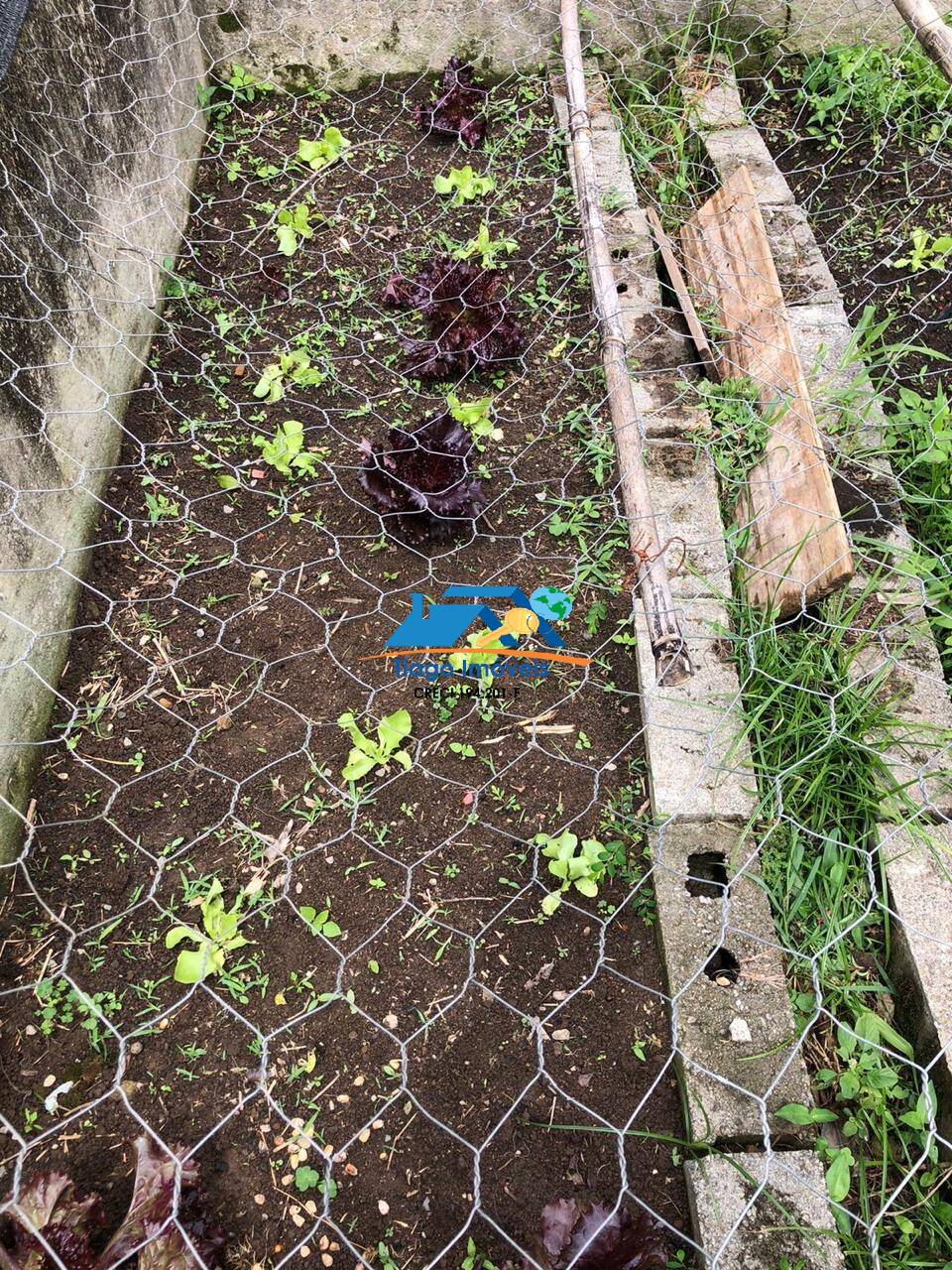 Sítio, 3 quartos, 3000 m² - Foto 33