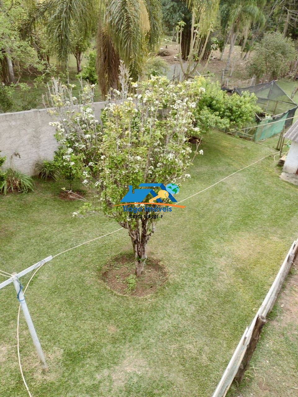 Sítio, 3 quartos, 3000 m² - Foto 16