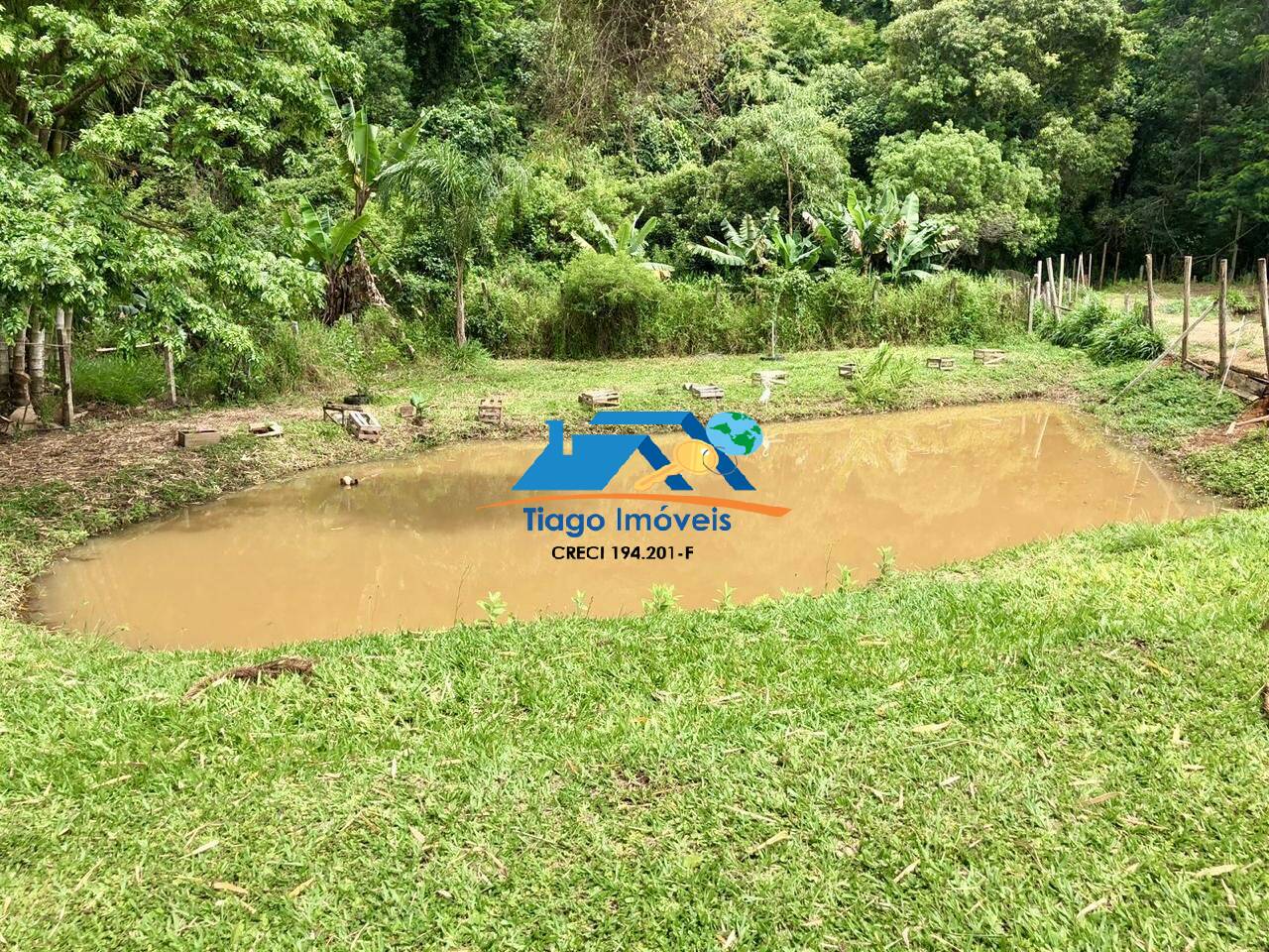 Sítio, 3 quartos, 3000 m² - Foto 5