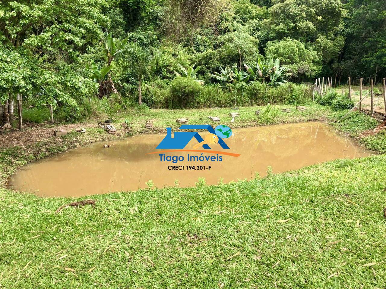 Sítio, 3 quartos, 3000 m² - Foto 6