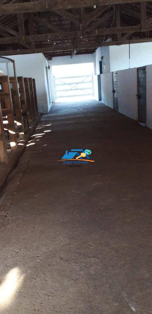 Sítio, 20 quartos, 30 hectares - Foto 23