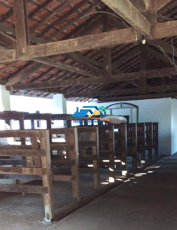 Sítio, 20 quartos, 30 hectares - Foto 42