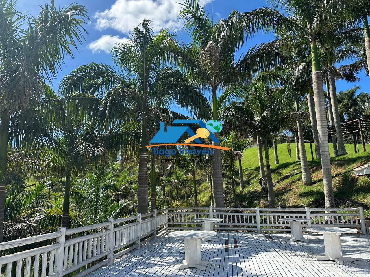 Sítio, 9 quartos, 29 hectares - Foto 129