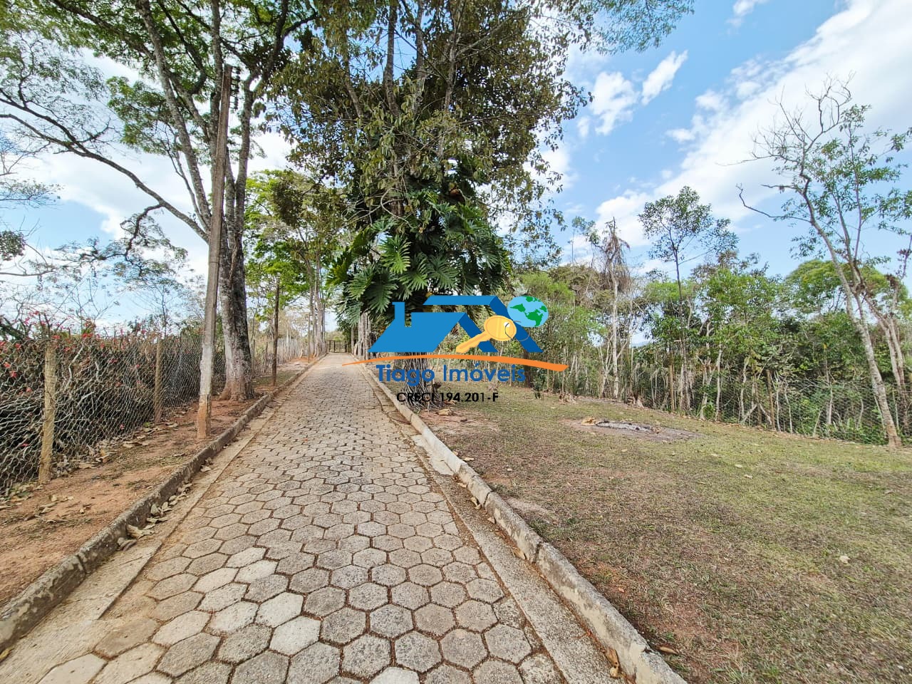 Sítio, 4 quartos, 8000 m² - Foto 36