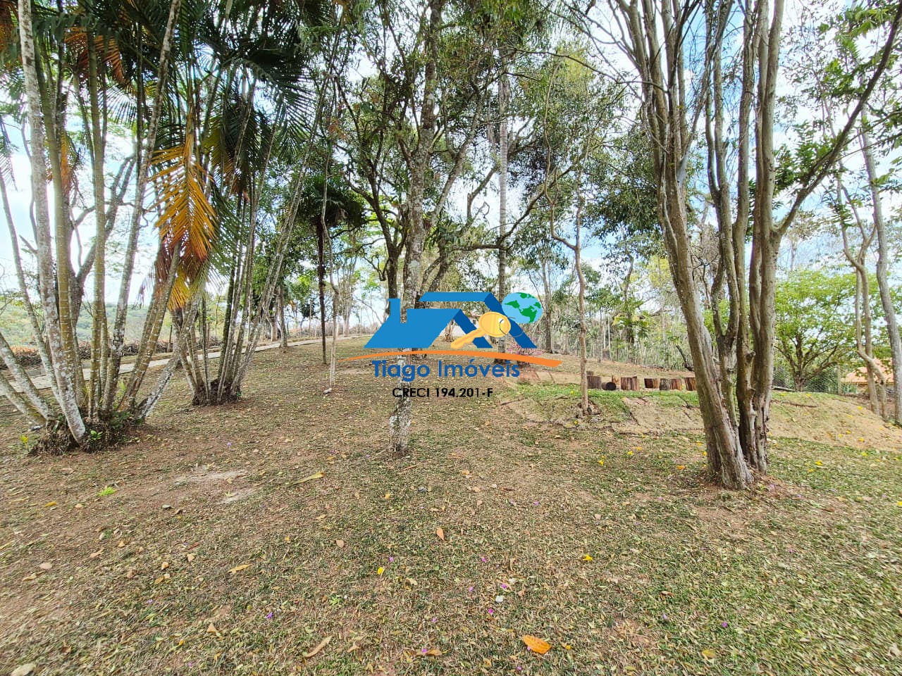 Sítio, 4 quartos, 8000 m² - Foto 37