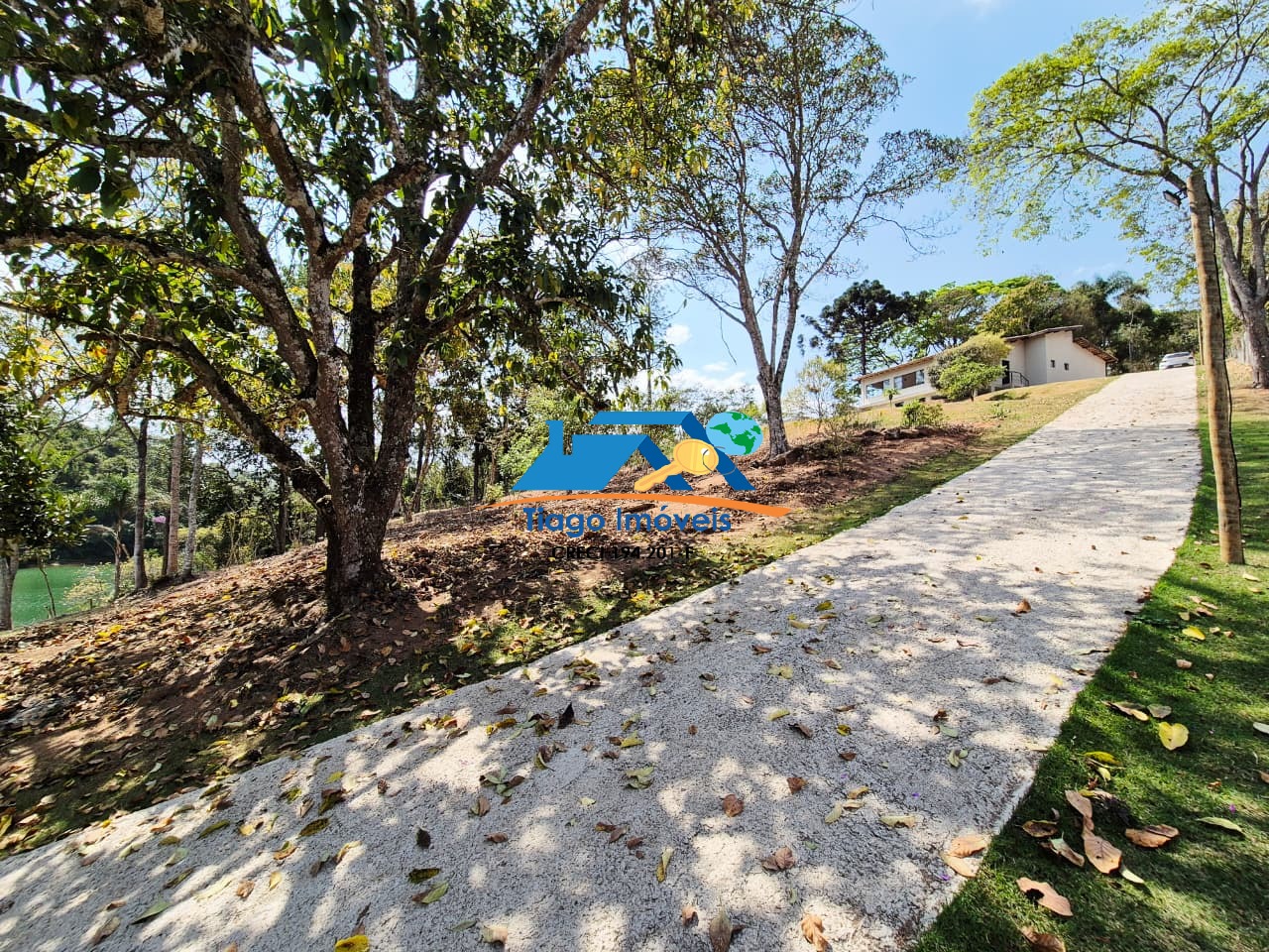 Sítio, 4 quartos, 8000 m² - Foto 41